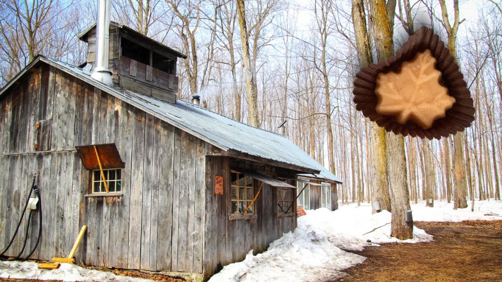 Expo Le temps des sucres