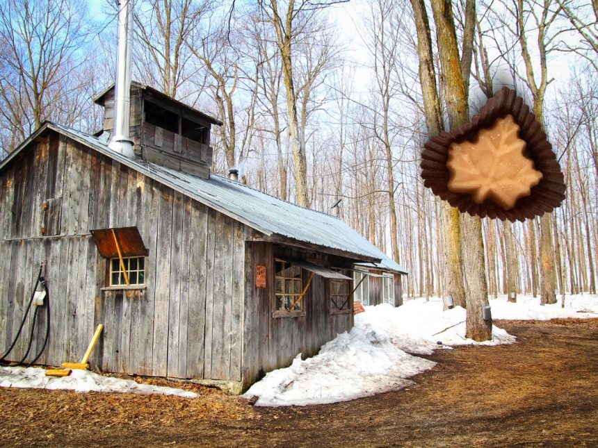 Expo Le temps des sucres